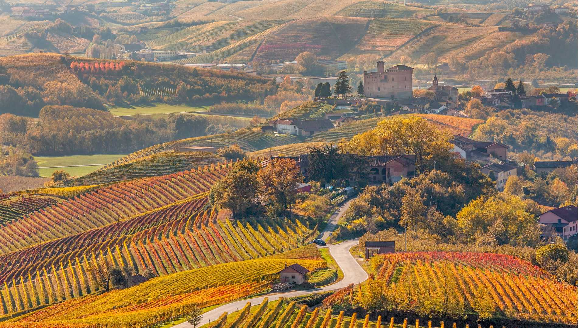 autumn in monferrato